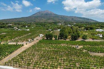 Private Pompeii and Vineyard Escape from Naples