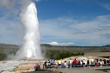 Yellowstone Private Tour