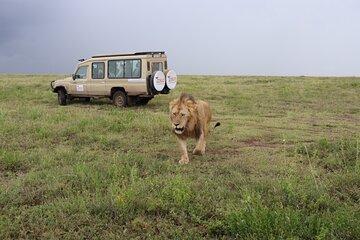 4-Days Group Tour to Tarangire Serengeti Ngorongoro