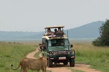 One day Akagera National Park from Kigali