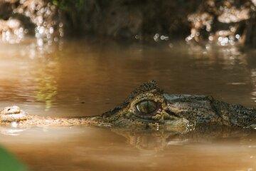 3 Days Deep into the Brazilian Amazon