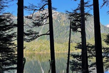 Tongass National Forest Hike To Beaver Lake