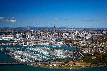 Auckland City and Native Kiwi Encounter Small Group Tour