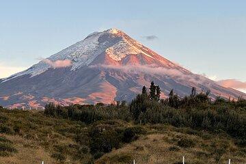 Cotopaxi Volcano Day Tour From Quito