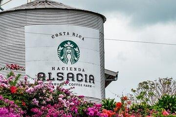 Hacienda Alsace, La Paz Falls and Local Craft Tour