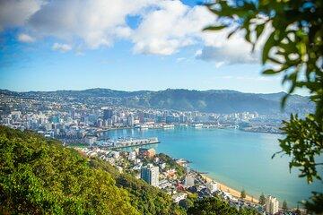 PRIVATE Wellington Half Day Tour