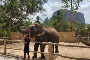 Experience Krabi Elephant care and bath in Ao Nang