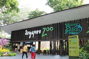 Singapore Zoo with tramp ride entry ticket Mandai Wildlife