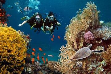 Half Day in Marsa Mubarak Sunset Adventure Snorkeling and Lunch