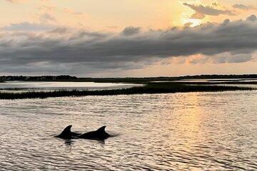 Private Folly River Sunset Dolphin Cruise