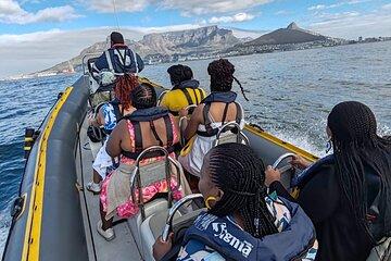 Ocean Safari Cruise Adventure