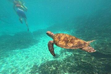 Sharing Tour to Dimaniyat Island Snorkeling Half Day