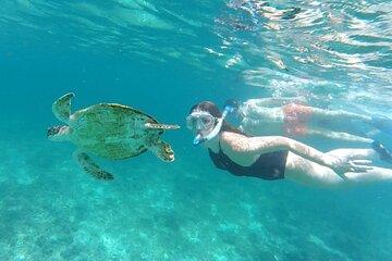 Sharing Trip Snorkeling Adventure at Dimanyat Island ( 5 Hours)