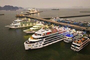 Halong International Cruise Port to Luna Experience