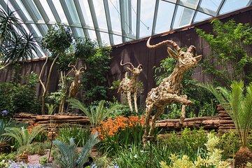 Garden by the bay Twin Wonders Flower and Dome Cloud Forest
