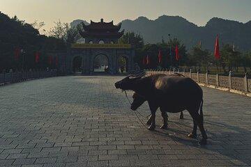 Ninh Binh Day Escape from Hanoi: Local Life, Connection & Tales
