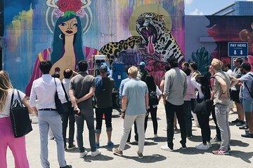 Graffiti Tour with Complimentary Drink in Wynwood