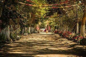 Visit Winery Tacama artisan winery Gran Tour Tacama