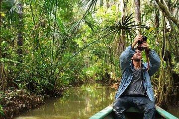 Tambopata Reserve 3 Days - Adventure into Nature and Wildlife.