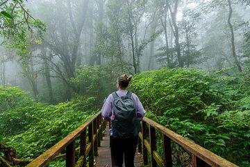 Doi Inthanon Kew Mae Pan Trail Hike from Chiang Mai