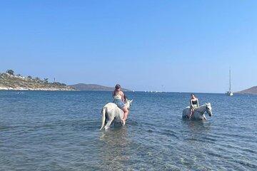 Bodrum Horse Safari Adventure