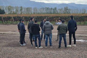 Guided Tour in Catena Zapata with 2 Wineries