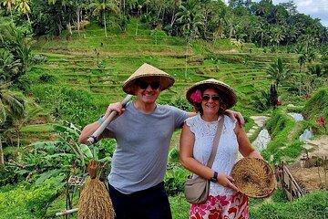 Ultimate Ubud Private Tour All-Inclusive Experience