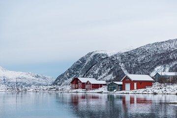 Express Fjord Road trip with Wandering Owl