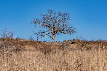 Gettysburg Private Tour Walks from Dobbin