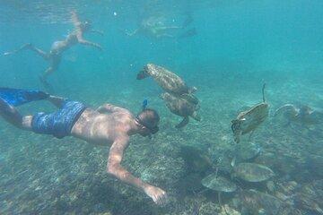 Sharing Tour to Dimaniyat Island Snorkeling Adventure 5 hours