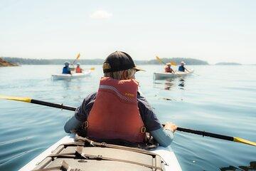 3 Hour Kayaking Tours from Friday Harbor