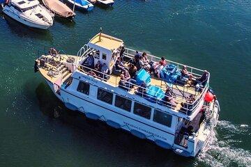 Kinsale Cruise Tour for 50 Minutes