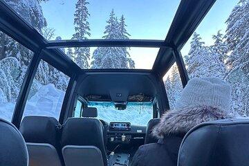 Turnagain Arm Wildlife and Glacier by Panoramic Bus