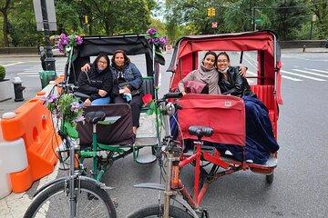 New York City Central Park Private Pedicab Tour