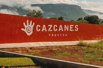 Private Adventure Day Tour to Tequila and Cazcanes Distillery