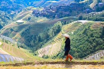 Longji Terraces Cultural Villages and Hike Private Day Tour