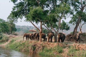 Chiang Mai Elephant Sanctuary Waterfall Long Neck Village Tour