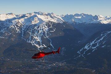 Public Coast Ranger 25 Minute Helicopter Tour