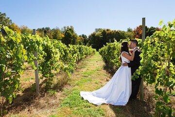 Wine Tour from New York to Hamptons