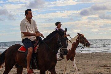 Golden Horseback Riding Sunsets on Horseback in Cartagena