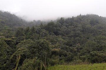 Discover the Camino de la Guaca in Medellin