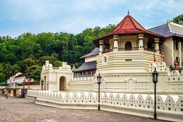 Kandy Sightseeing City Tour by Tuk Tuk