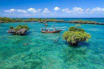 Safari Blue Full-Day Experience with Gourmet Lunch – Zanzibar