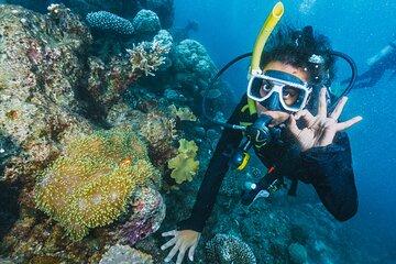 Beginner Scuba Diving Adventure in Antalya with Lunch