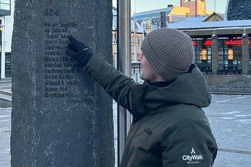 Reykjavik Street Food Walking Tour
