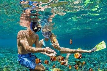 Bali Blue Lagoon Snorkeling with Ubud Tropical River Pool Bar
