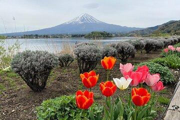 Mount Fuji Private Day Tour to 5th Station Lake Kawaguchi