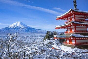 Mt. Fuji & Hakone Day Tour from Tokyo with English Speaking