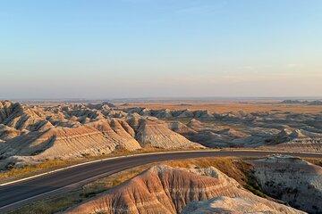 Wildlife and Iconic Roads: The Black Sheep Tour