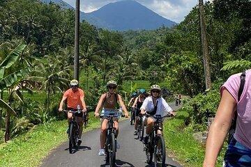 Bali Downhill Cycling Kintamani to Ubud with Private Transfer